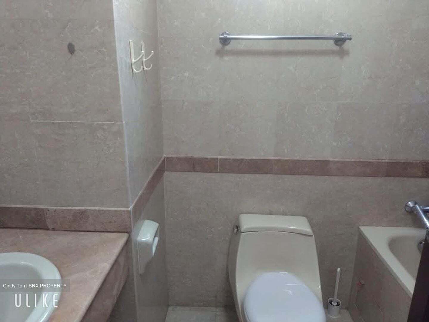 Tanglin Regency (D10), Condominium #604399581